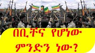 Adadis Zena I አዳዲስ ዜና - በቢቸና የሆነው ምንድን ነው?