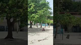 Philippines. Boracay.White Beach Station 3.  Филиппины. Боракай. Станция 3   #shortsvideo #shorts