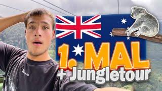 ALONE in AUSTRALIA! First Impressions and JUNGLE Tour in Cairns