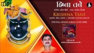 Krishna Tane | Shreenathji Bhajan | Singer: Sachin Limaye | Music: Brij Joshi