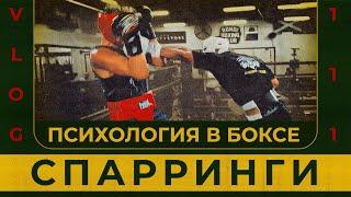 Спарринги | Психология в боксе | Вуллонгонг, Киама | Сергей Воробьев. Путь к Чемпионству