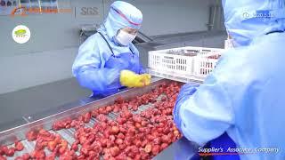 IQF frozen fruits prodution video