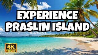 Live Cam Praslin Island Seychelles #livecam