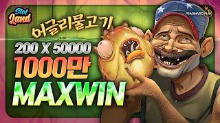 [슬롯머신] [슬롯] 어글리어스트 캐치 50000배 맥스윈 Nolimit City MaxWin