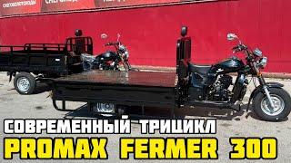 Трицикл PROMAX FERMER 300 - обзор на современный "Муравей" для хозяйства