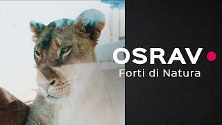 OSRAV - Forti di Natura (video aziendale)