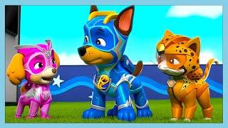 Cat Pack: Rocket Rescuers!   | Paw Patrol | WildBrain Kids