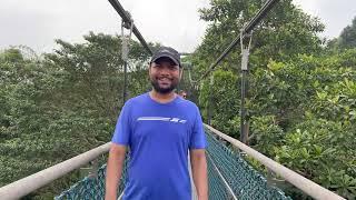 Longest Nature Trail | Treetop Walk | MacRitchie Reservoir