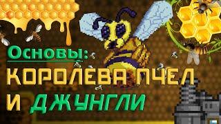 [Terraria] Основы: часть 06 - Королева пчел и джунгли