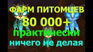 Фарм Питомцев ( 80к золота+ ) практически ничего не делая