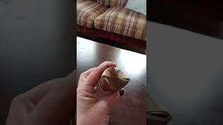 #DIY #ratcare #RATCRAFT #ratshorts #rodent #RatOwnerTips #petrats