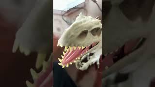 Indominus Rex thinks the ocean is a soup #actionfigures #funny #memearchive
