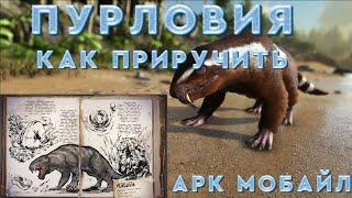 как приручить пурловию арк мобайл #арк #топ #аркмобайл #дюп #баг #фарм #pvp