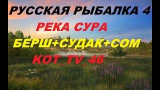 БЕРШ,СУДАК,СОМ,СУРА,KOT_TV_46,РУССКАЯ РЫБАЛКА 4.russian fishing 4