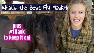 What is The Best Fly Mask?! + #1 Hack to Keep it on!