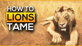 How To Tame Lions | Conan Exiles