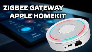 Zigbee шлюз для Tuya Smart c поддержкой Apple Homekit и Google Home