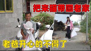 老爸总算回来了，终于不用再是我和小安两个人吃饭，家里多一个人气氛都不一样，四个菜一点都不剩