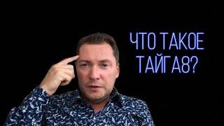 О Тайга 8 за 3 минуты. TAYGA8 VILAVI