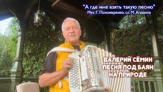 Песня под баян на природе ️ "А где мне взять такую песню". Поёт Валерий Сёмин. ДУШЕВНО И КРАСИВО ️