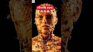 Mini Wood Working|| Wood Working Carfts Skills|| Wood toy|| #shorts​ #facts​ #magic​ #viral