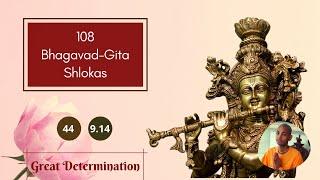 9.14 | satatam kirtayanto mam | Bhagavad-gita Shlokas | Madhusudana Visnu Das