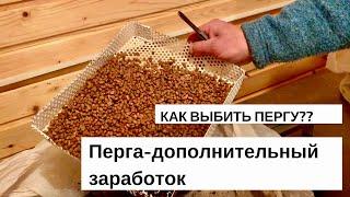 КАК ВЫБИТЬ ПЕРГУ?? ПЕРГА КАК ДОПОЛНИТЕЛЬНЫЙ ДОХОД.