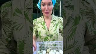 Наши курочки радуют нас каждый день! Вот они яйца от легбар! #shorts #ферма #курица #яйца #легбар