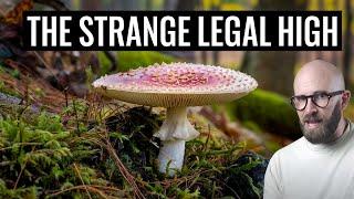 Muscimol: The Legal "Magic Mushroom"