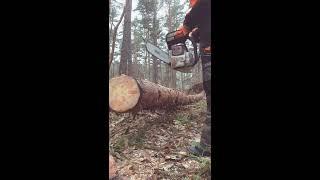 Stihl MS 261 C-M 2016 Modell