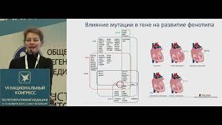 Моделирование различных вариантов филаминопатий с использованием моделей