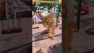 cute #tiktok