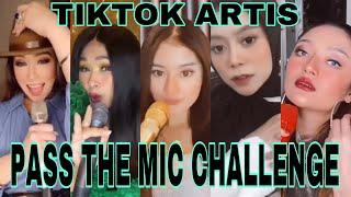 KOMPILASI TIKTOK ARTIS PASS THE MIC CHALLENGE || LAGI VIRAL