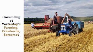 Harvesting at Yesterday's Farming, near Crewkerne, Somerset