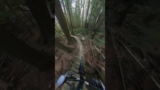 Life’s a rollercoaster! #mtb #pov #lovetheride