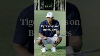 Stuck in the rough? Tiger’s got you. 