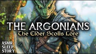 The Argonians Of Skyrim: Elder Scrolls Bedtime Stories | Cozy Tamriel ASMR Lore & Ambience For Sleep