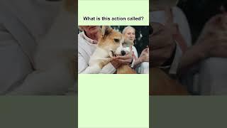 Learn English Everyday