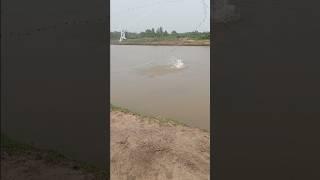fishing net