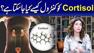 How to Control Cortisol Levels? | Dr Sahar Chawla