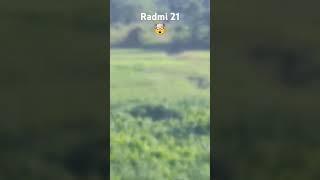 radmi 21 