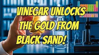 Vinegar Extracts Gold From Black Sand!