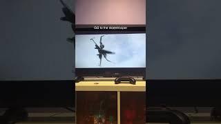 gg