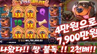 [슬롯나라] 프라그마틱 도그하우스(개집) 4만원으로 7900만원!? 쌍불독!! 영상~! (pragmatic slot : doghouse gave me big win!!!)