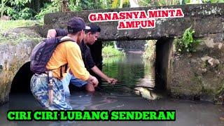 SIDAT PENGHUNI GORONG GORONG ‼️ DI BURU BANYAK PEMANCING | MANCING SIDAT MONSTER | BIG EEL