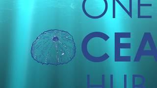 One Ocean Hub