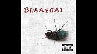 Rokit Bay - BLAAVGAI