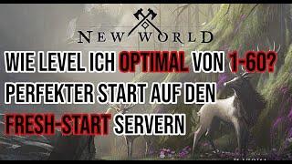 New World - Optimal Leveln von 1-60 | Perfekt starten auf den Freshstart Server | Guide | Deutsch