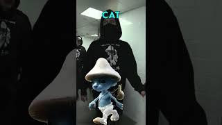 Alan Walker Recreated The Smurf Cat Meme