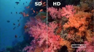 SD vs. HD in video resolution (sharp distinction)